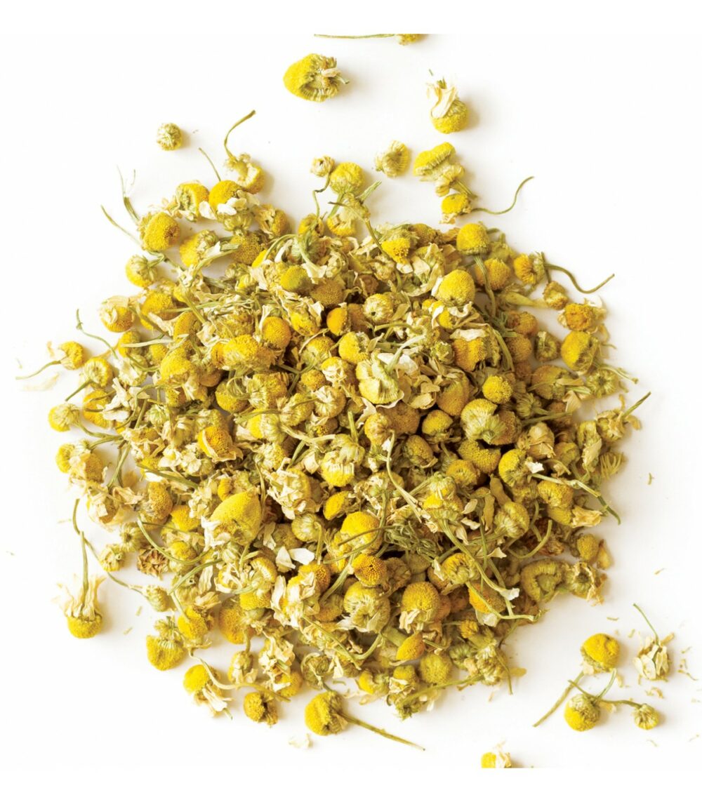 Cretan Chamomile - Image 2
