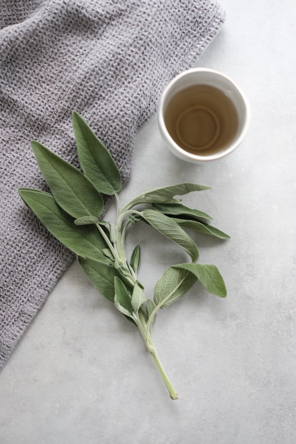 Mountain sage