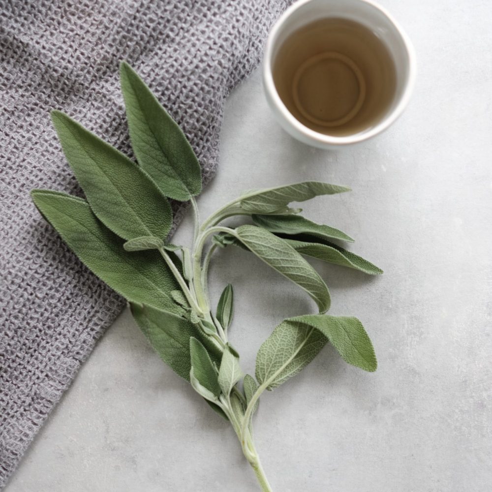 Mountain sage