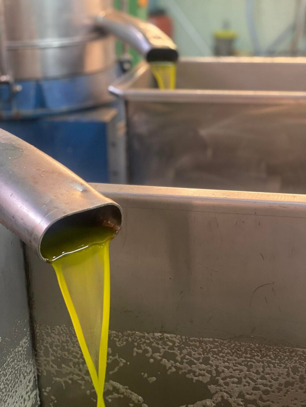 Extra virgin olive oil - Image 5