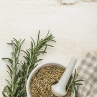 Rosemary herb