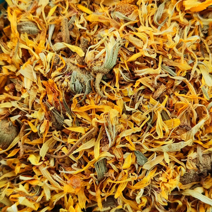 calendula